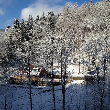 Hokejka Rokytnice nad Jizerou