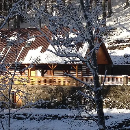 Hokejka Rokytnice nad Jizerou