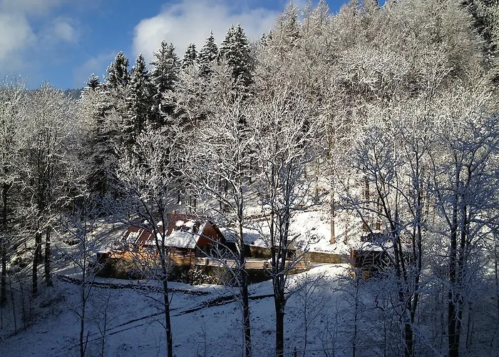 Hokejka Rokytnice nad Jizerou
